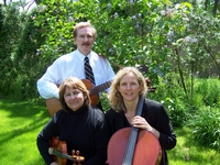 Stringplicity