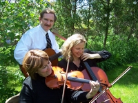 Stringplicity